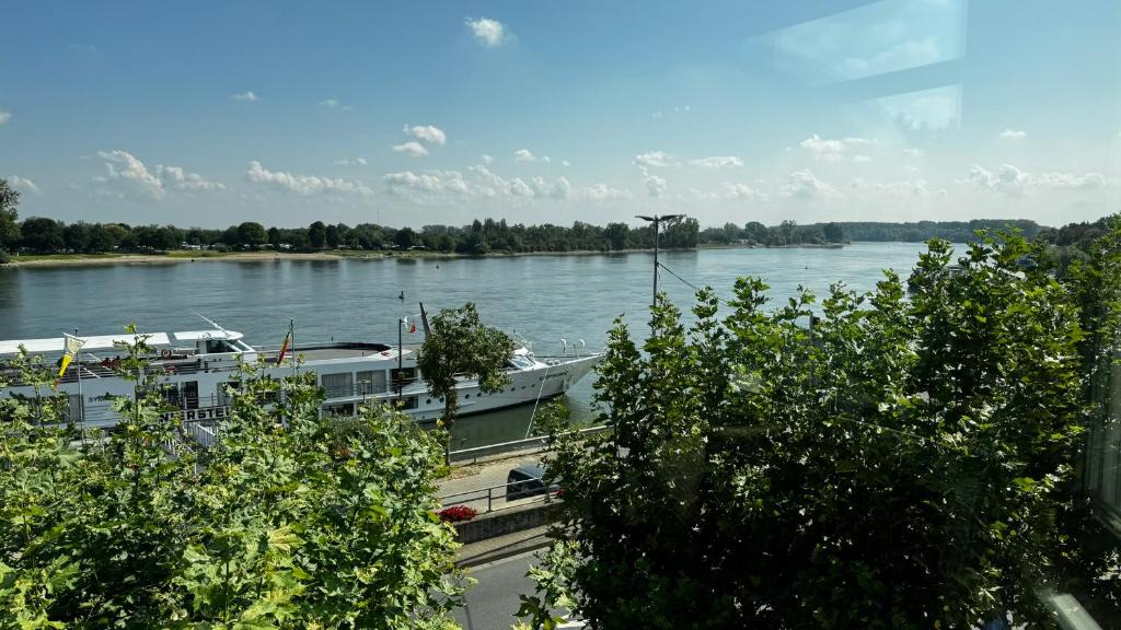 Mainz-Bingen Hotel | Rhein-Hotel Nierstein