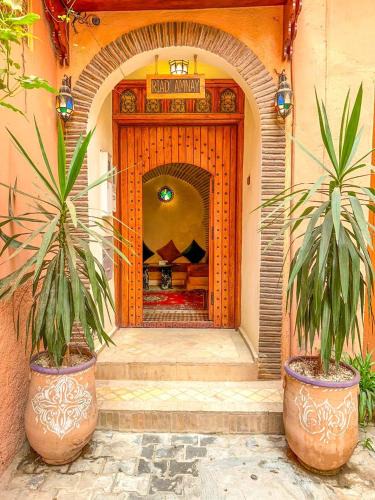 Taroudannt House | RIAD AMNAY