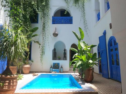 Diour Jdad House | Riad Chameleon