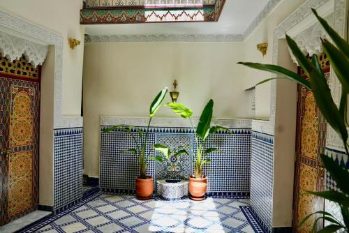 Fes El Bali Villa | Riad Chouara