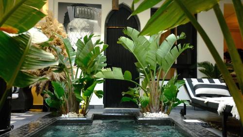 Kasbah House | Riad Dar Siyah