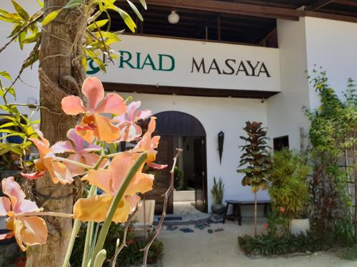 Catangnan Hotel | Riad Masaya