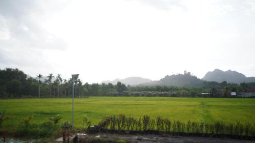 Plai Phraya House | Rice Field Bungalows