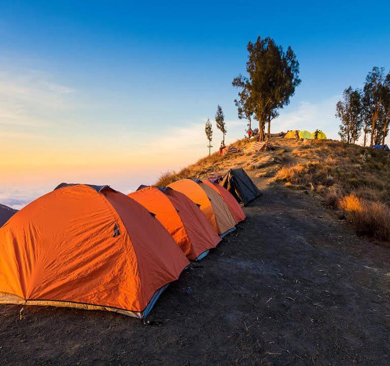 Bayan Other | Rinjani Booking