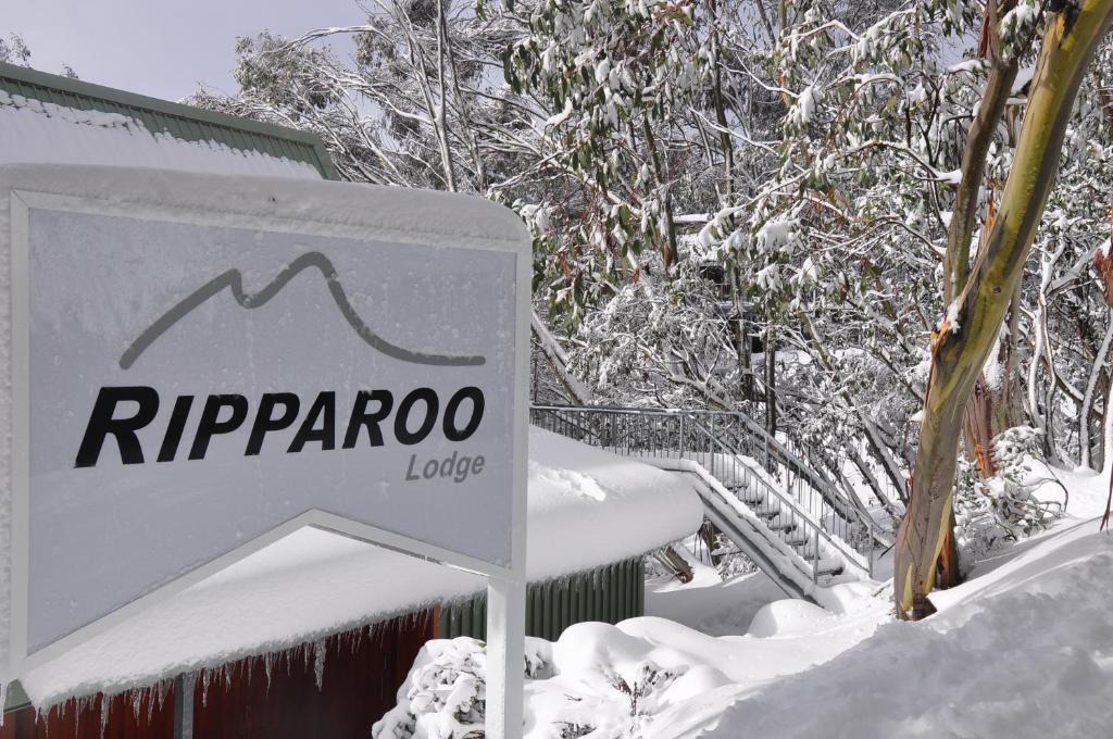 Falls Creek Cabin | Ripparoo Lodge