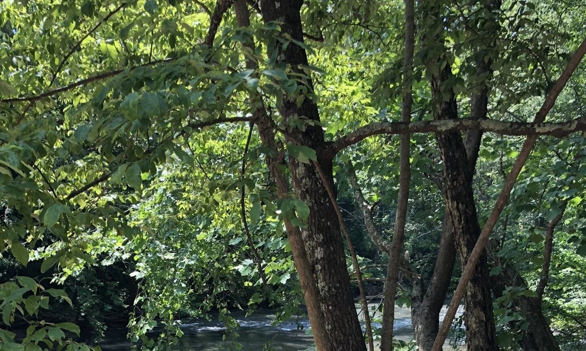 Dahlonega Cabin | River front, Wineries, Hot-tub, wonderful place to gather for celebrations.