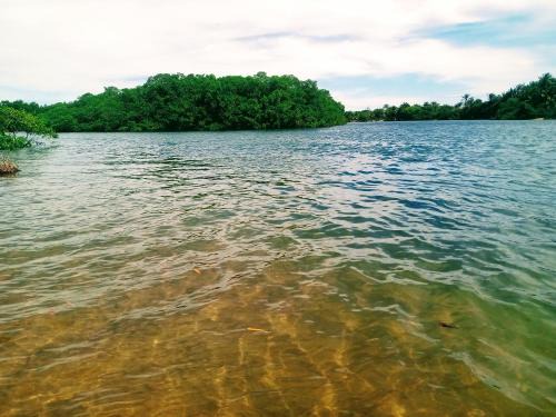 Barra Grande House | River House