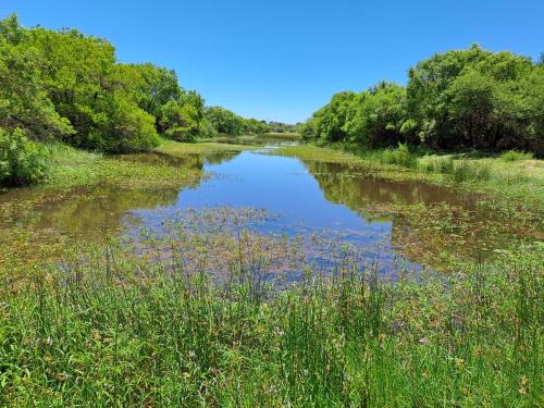 Hammanskraal Apartment | River Ridge Log Home - Inside Dinokeng Big 5