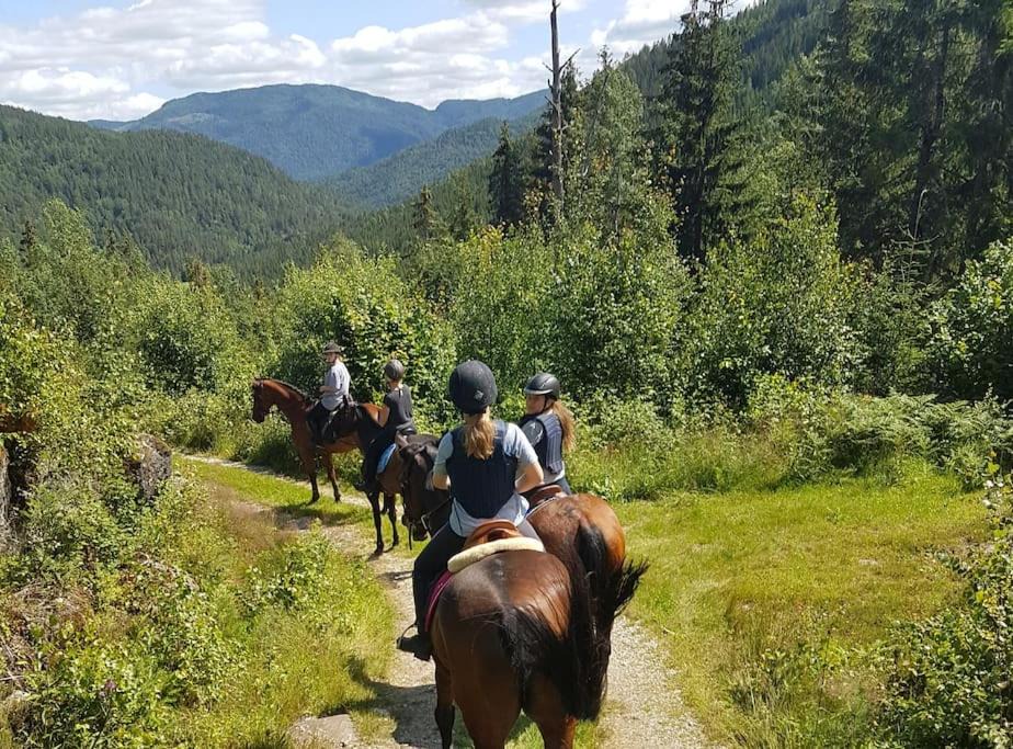 Tørdal House | River Run Ranch - Telemark