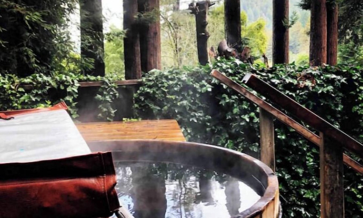 Northwood Cabin | River View Tree House, Entire House W Hot tubnn