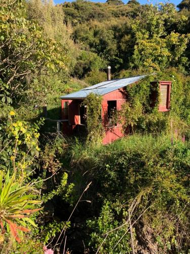 Akaroa House | Riverside Cabin in Akaroa