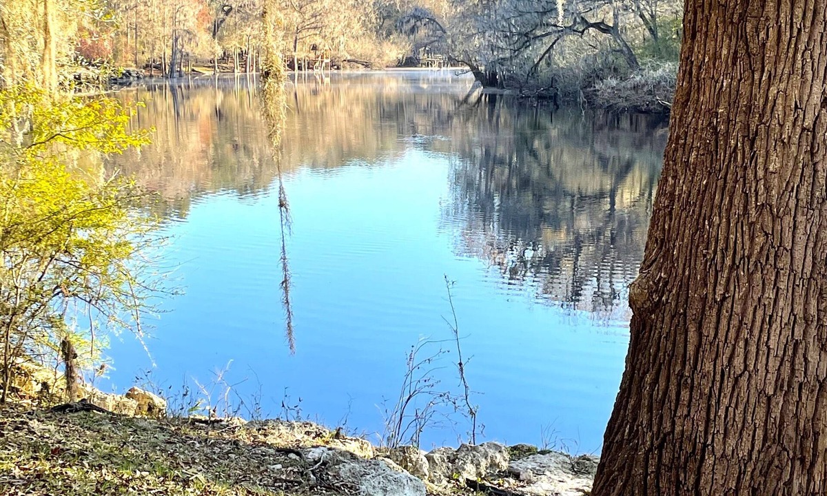 Branford House | Riverview , Beautiful house on the Santa Fe river!