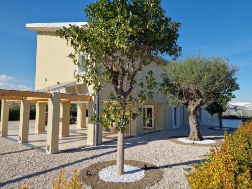 Volla House | Ro agriMaison