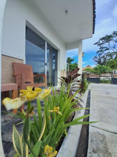 Banyuwangi Hotel | Robiu Bed & Breakfast