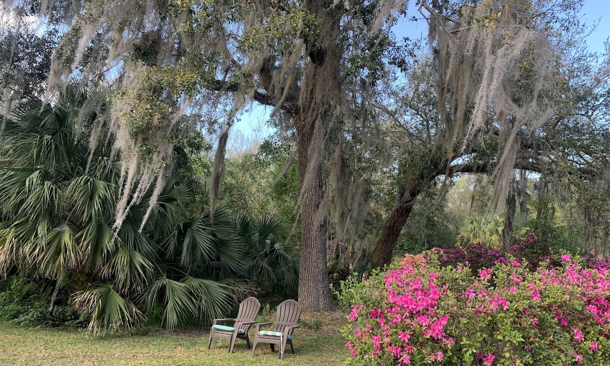 Scottsmoor Cottage | Rocket & Nature Lovers! Vintage European Cottage in a lush Florida Setting