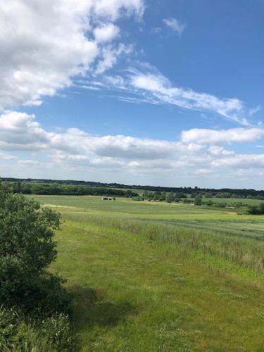 Layer Marney Other | Rockinghams Farm