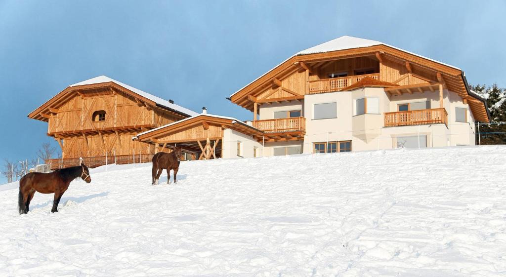 Lajen Apartment | Rodererhof 511W