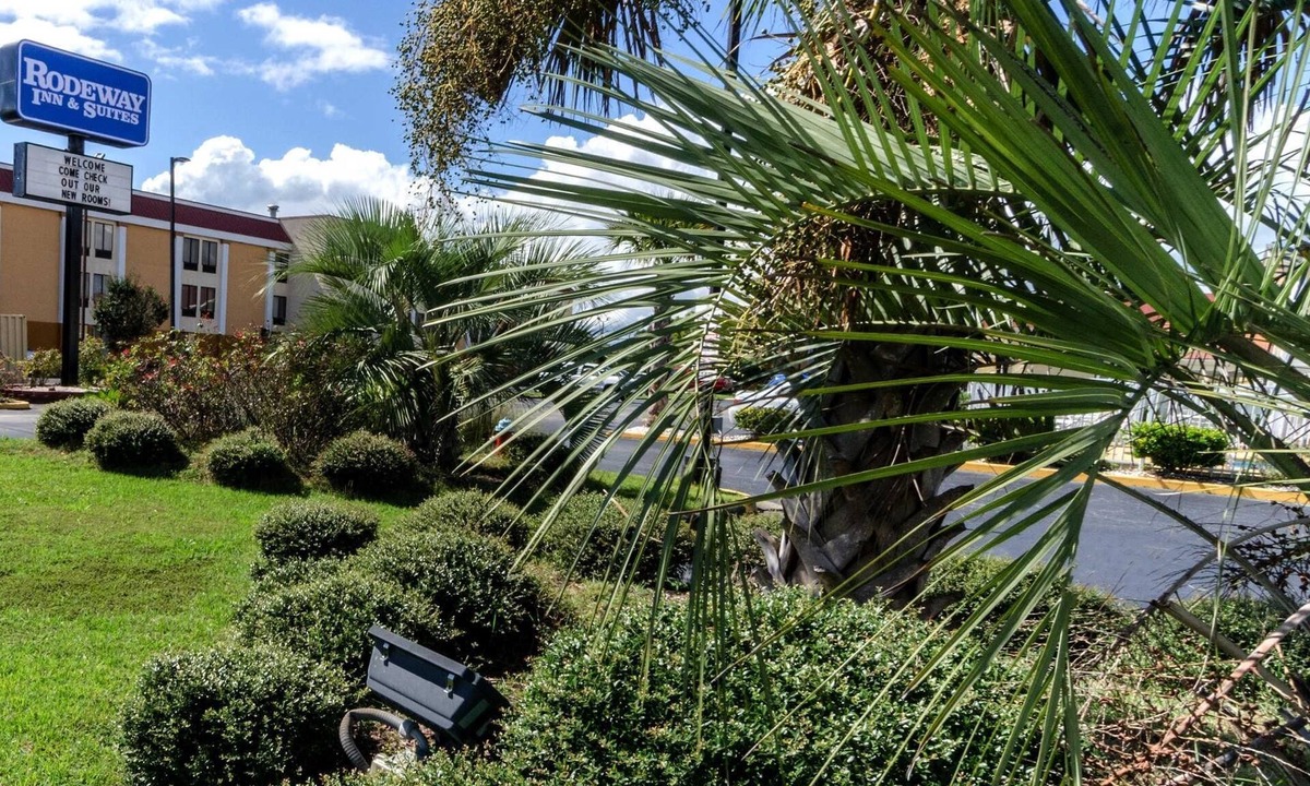 Jacksonville Hotel | Rodeway Inn & Suites Jacksonville near Camp Lejeune