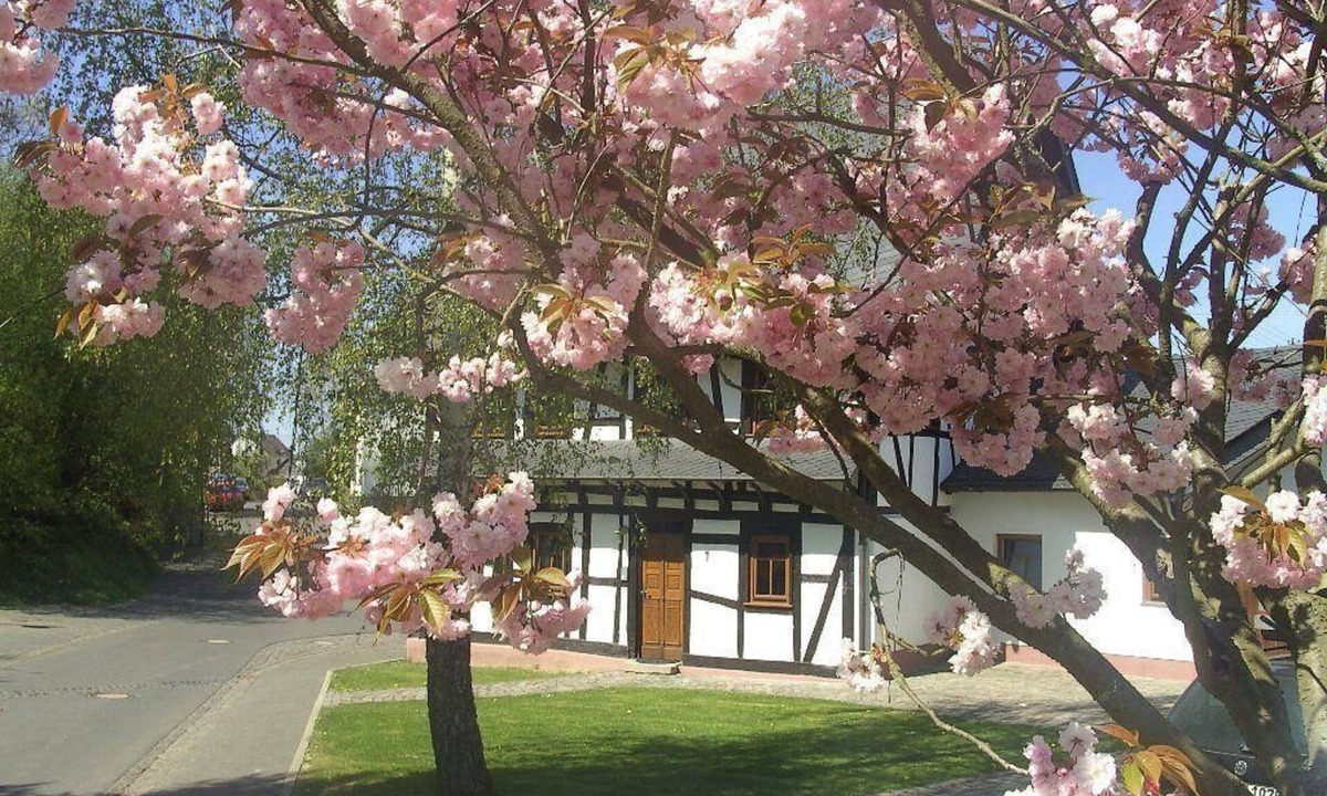 Frankweiler House | Romantic half-timbered house between the Rhine and Moselle