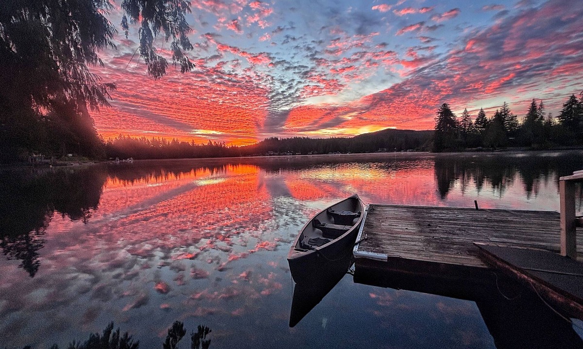 Shelton Cabin | Romantic, pet friendly lakefront cabin!