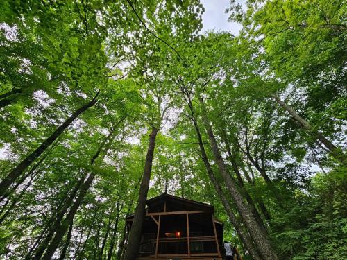 Mars Hill House | Romantic Summer Couples Escape, Private Hot Tub, EV Station, Fast 600 Mbps WiFi