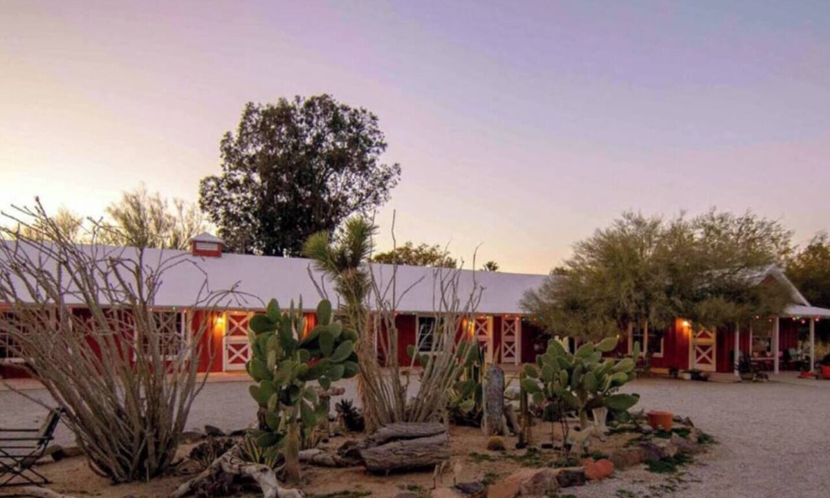 Joshua Tree Hotel | Room 8 Desert Refuge - Downtown Joshua Tree