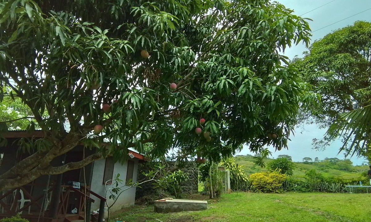 Ba House | Room-private Villa in Tonge, Fiji