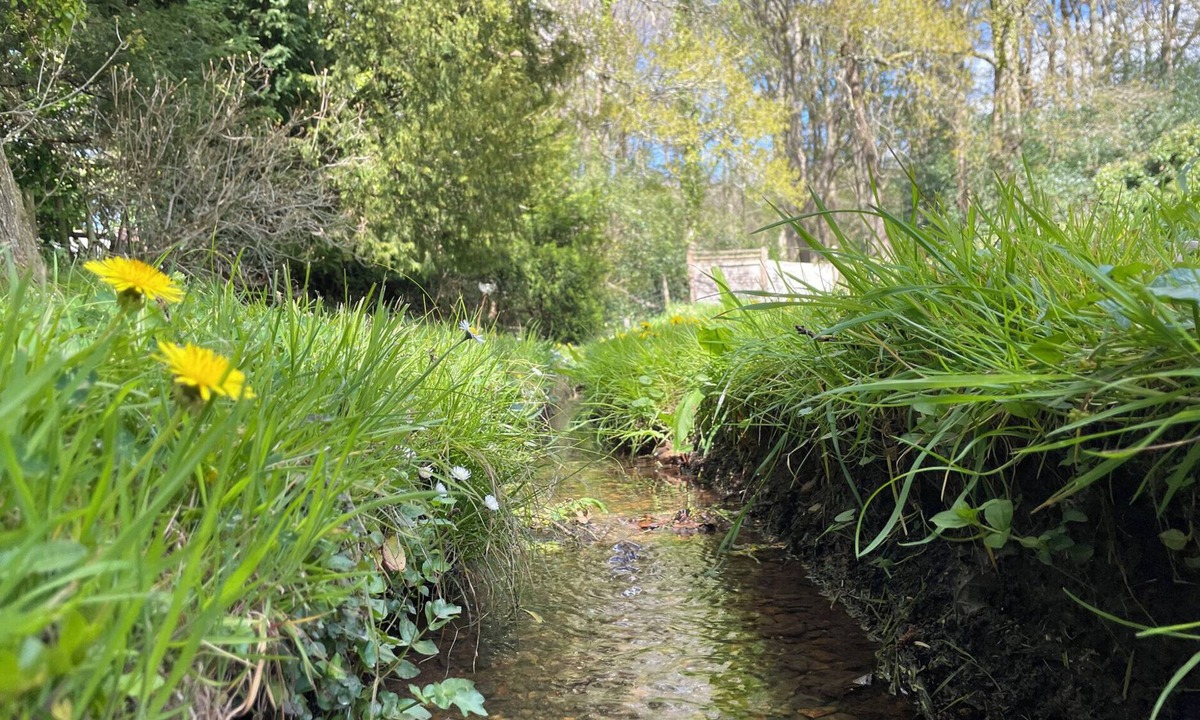 Romsey Cottage | Roslyn