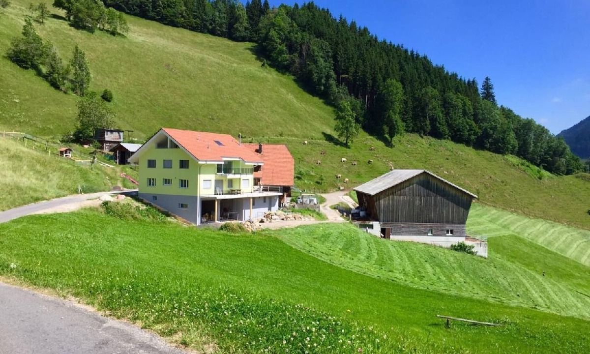 Fluehli Apartment | Rough moss - Hof