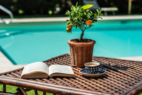 Rovezzano Bed & Breakfast | Rovezzano B&B