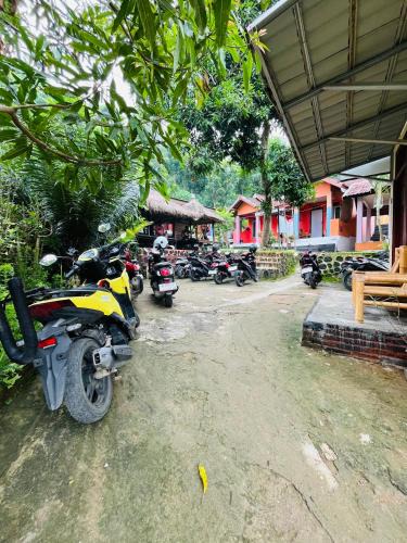 Kuta House | ROY HOMESTAY KUTA