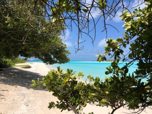 Mathiveri House | Royal Reef Stay