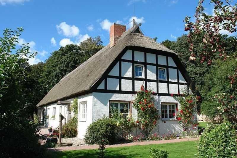 Gingst Apartment | Ruegen_Fewo 266