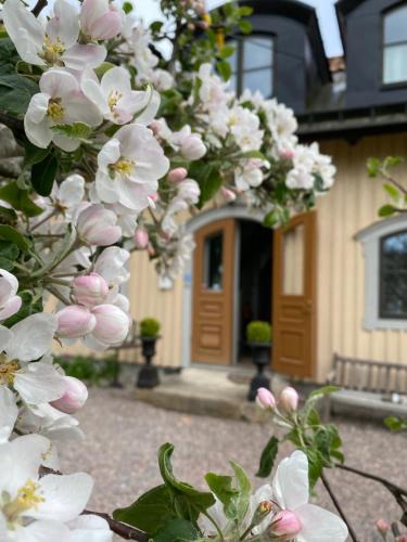 Nykoping House | Runnvikens Pensionat