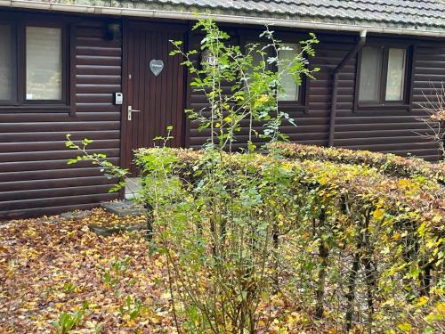 Marcouray Ski Chalet | Rust en natuur in het hart van de Ardennen