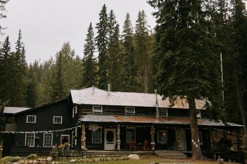 Golden Other | Rustic Beaverfoot Lodge