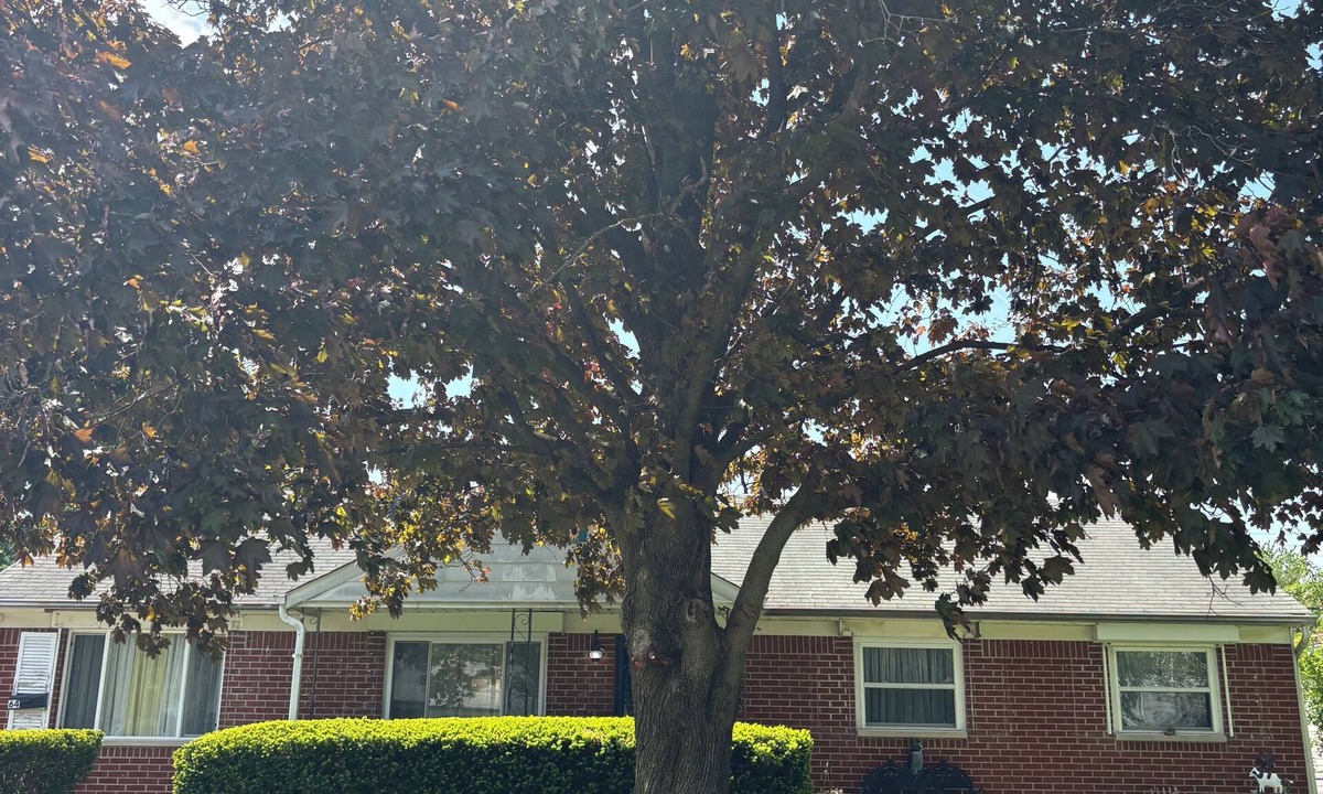 Greenwood House | Rustic Charm 3-bedroom 2-bath house in beautiful Greenwood with AC & HOT SPA