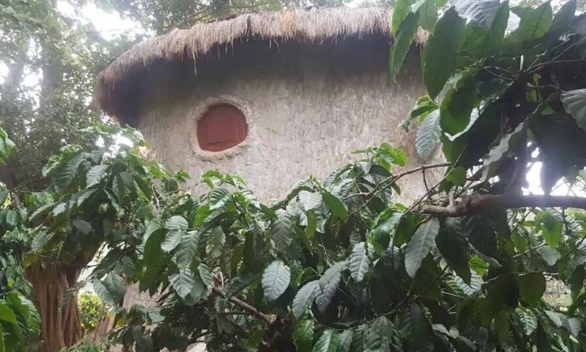 Kaimane House | Rustic Charm Wayanad - The Roots (Treetop Suite)