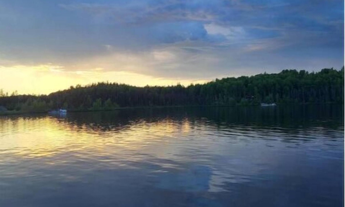 Willow Cabin | Rustic dry Cabin on Nancy Lake! True Alaskan Experience with Outhouse!