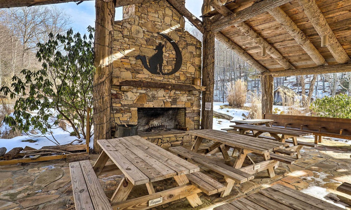 Wolf Laurel Cabin | Rustic Mars Hill Cabin: 20 Miles to Asheville!