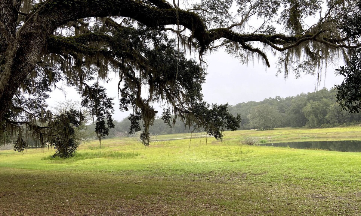 Old Town House | Rustic Retreat: Ranch Home with 40 Private Acres and Covered Patios
