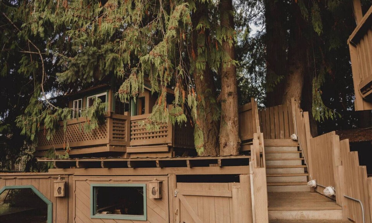 Port Angeles Cabin | Rustic TreeHaus Cabin - Saltwater Hot Tub & Sauna Hideaway