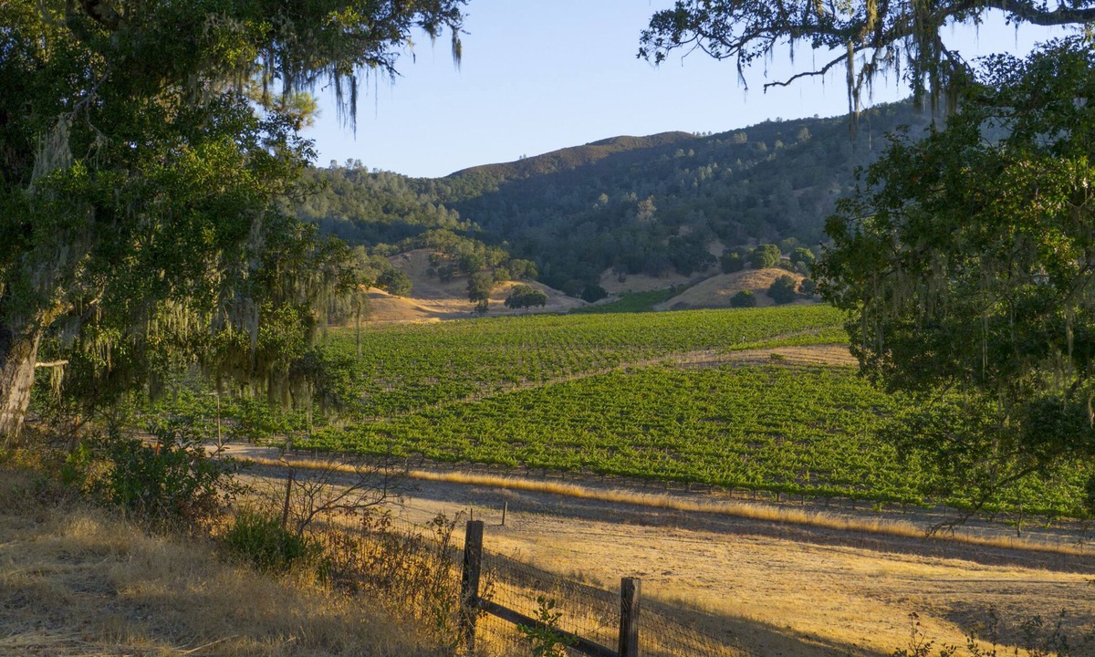 St. Helena Bed & Breakfast | RustRidge Bed and Breakfast - Rustridge House