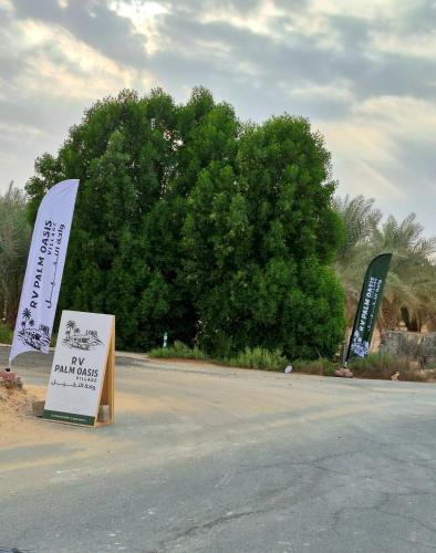 Liwa Other | RV Palm Oasis