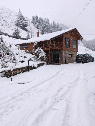 Damuc Ski Chalet | Ryan's Cabin