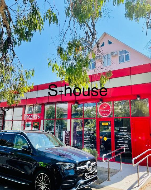 Adler City Centre House | S-House