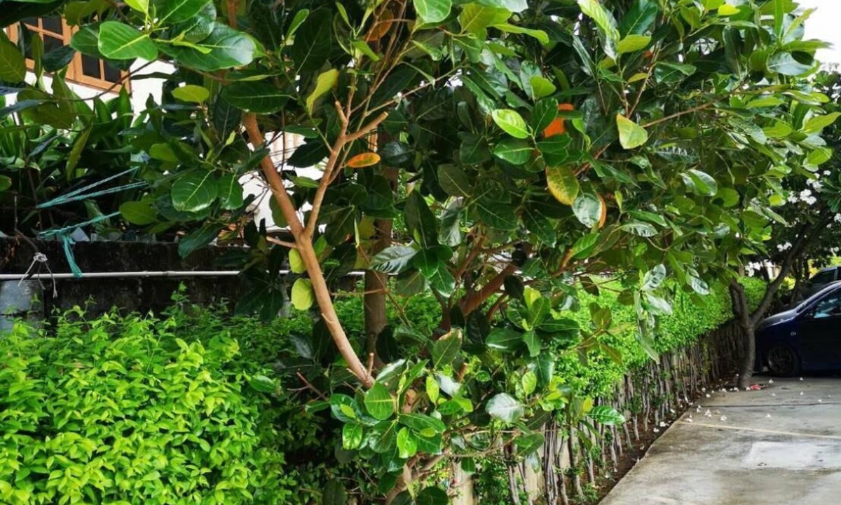 Suphan Buri Hotel | Sab Suwarn Mansion