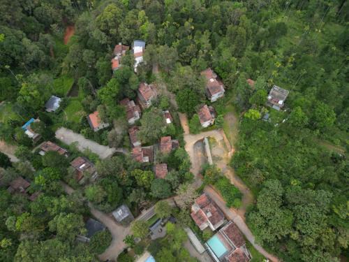 Kunnathidavaka Resort | Safari Hills Vythiri