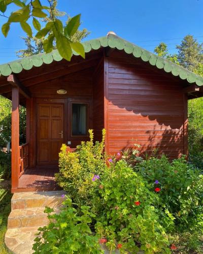 Cirali Bed & Breakfast | Safir Pansiyon