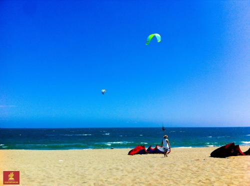 Phan Rang - Thap Cham Apartment | Salt & Wind Living - Phan Rang Beachfront
